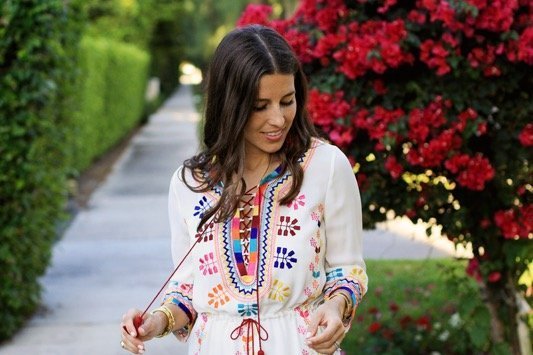 Figue Embroidered Dress 7